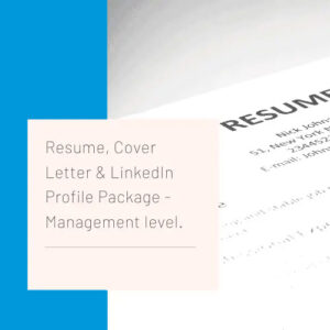 Professional Management level Resume Writing