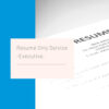 Executive LEVEL Resume Only – No Cover Letter